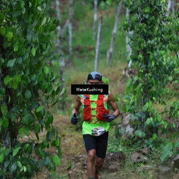 Runner Photo 8090163