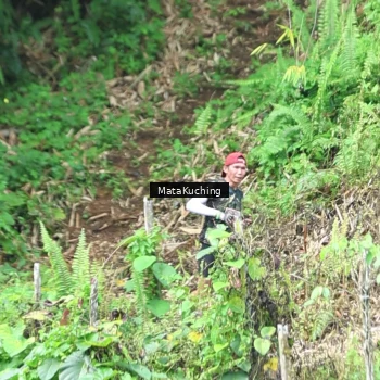 Runner Photo 8090409