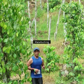 Runner Photo 8090412