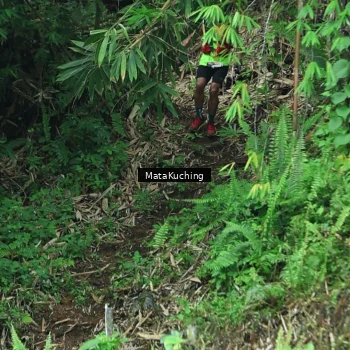 Runner Photo 8090413