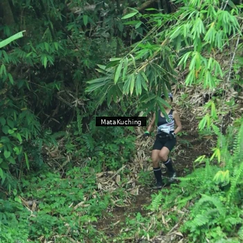 Runner Photo 8090414