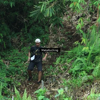 Runner Photo 8090415