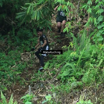 Runner Photo 8090418