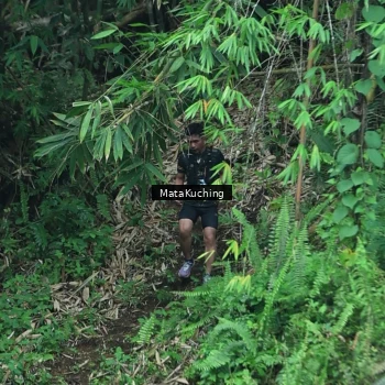 Runner Photo 8090419