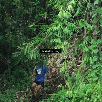 Runner Photo 8090421