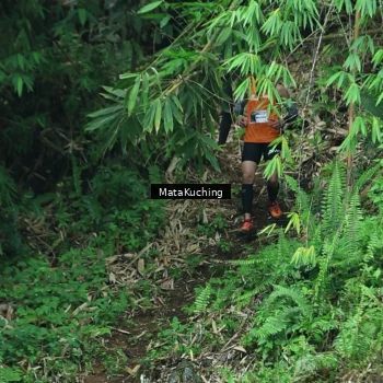 Runner Photo 8090425