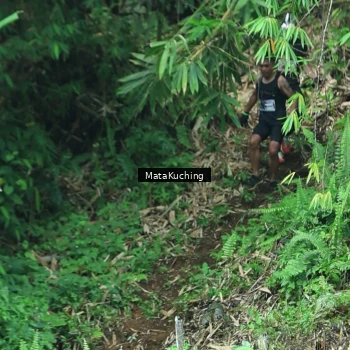 Runner Photo 8090426