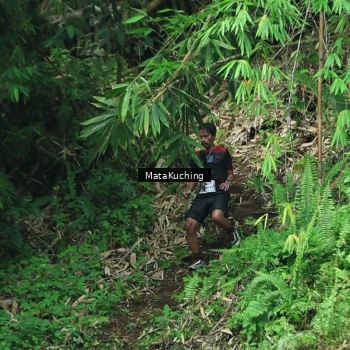 Runner Photo 8090427