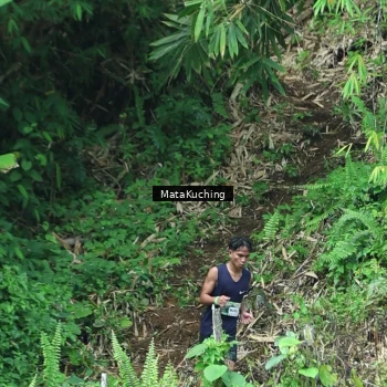 Runner Photo 8090428