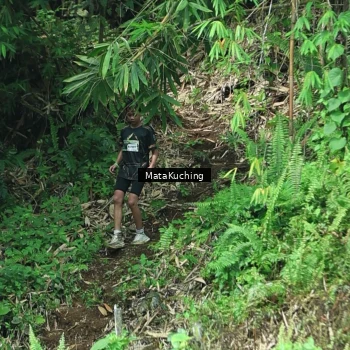 Runner Photo 8090431