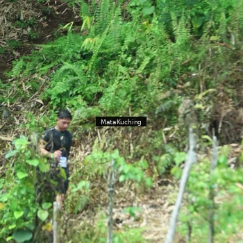Runner Photo 8090436