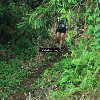 Runner Photo 8090438