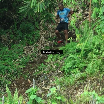 Runner Photo 8090439