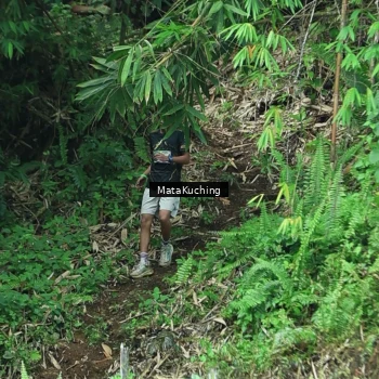 Runner Photo 8090440