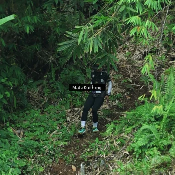 Runner Photo 8090441