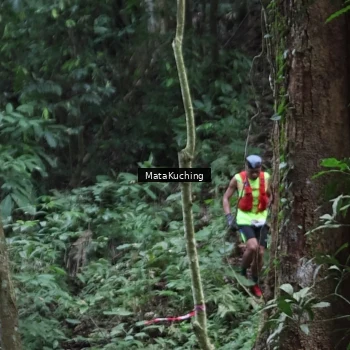 Runner Photo 8090454