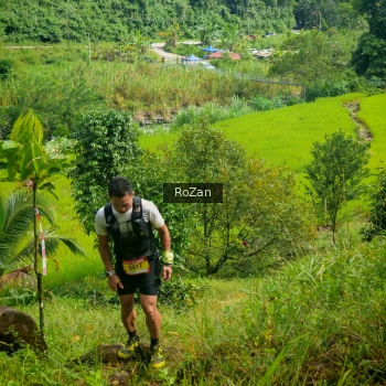 Runner Photo 80908