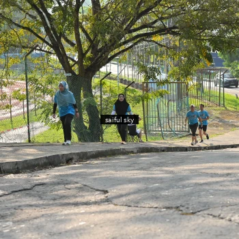 Runner Photo 8091246