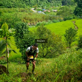 Runner Photo 80913