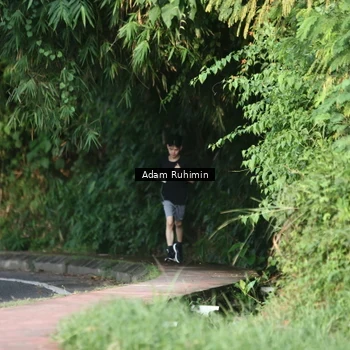 Runner Photo 8099866