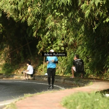 Runner Photo 8100198