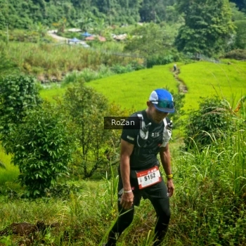 Runner Photo 81029