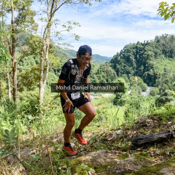 Runner Photo 81039