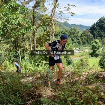 Runner Photo 81042