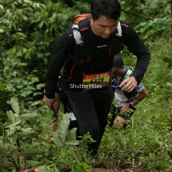 Runner Photo 81062