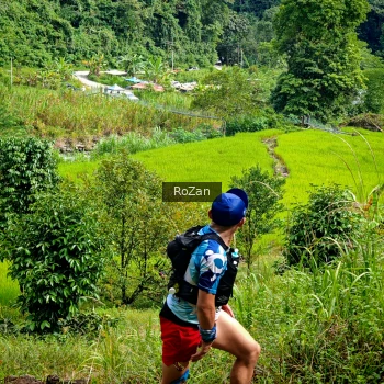 Runner Photo 81081
