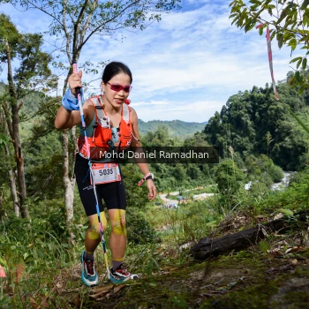 Runner Photo 81082