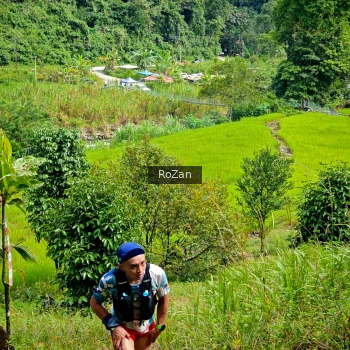 Runner Photo 81083