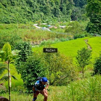 Runner Photo 81091
