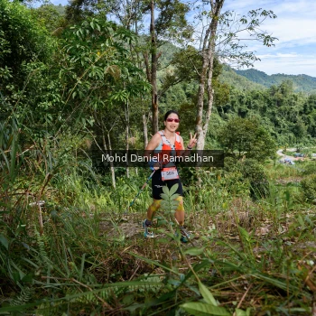 Runner Photo 81092