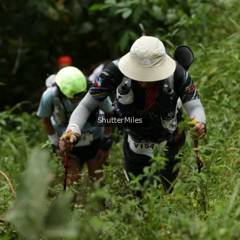 Runner Photo 81094