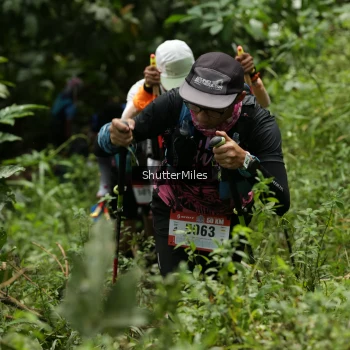 Runner Photo 81108
