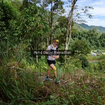 Runner Photo 81113