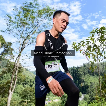 Runner Photo 81133