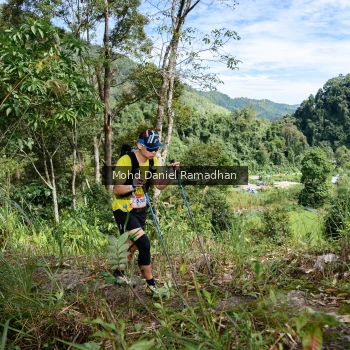 Runner Photo 81150