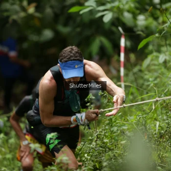 Runner Photo 81186