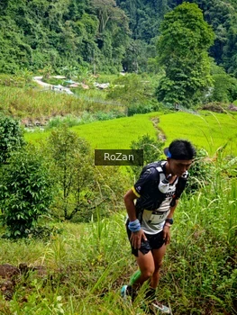Runner Photo 81192