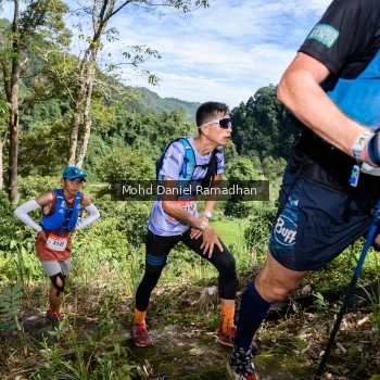 Runner Photo 81206