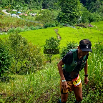Runner Photo 81214