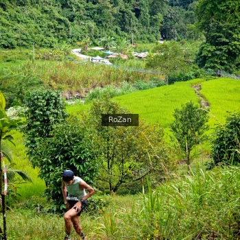 Runner Photo 81247