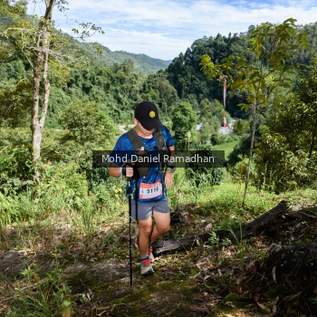 Runner Photo 81274