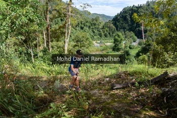 Runner Photo 81280