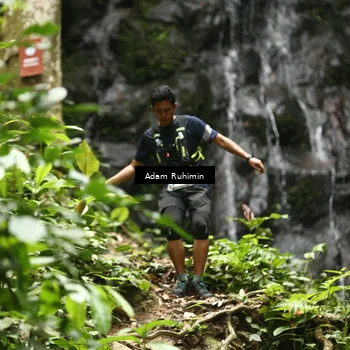 Runner Photo 8128330
