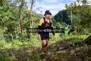 Runner Photo 81288