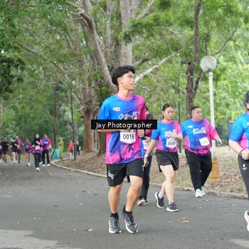 Runner Photo 8129020