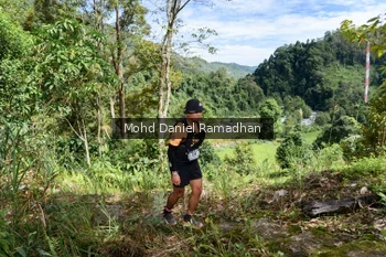 Runner Photo 81291